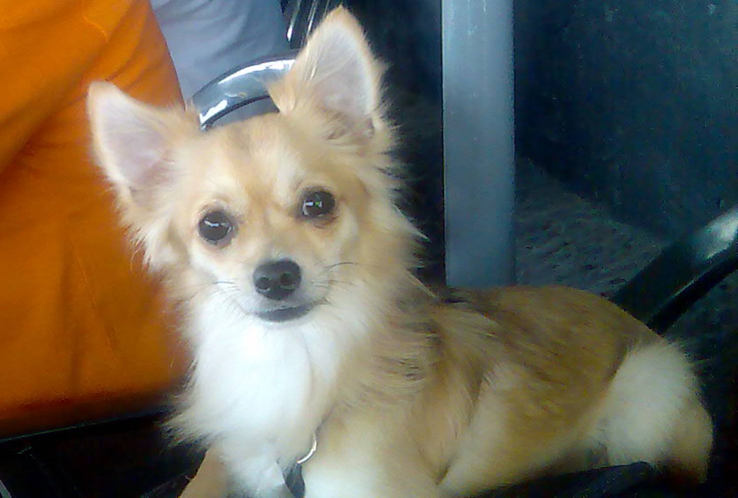 AQUILES