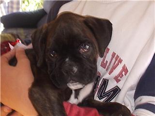 Neska