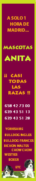 VENTA DE MASCOTAS