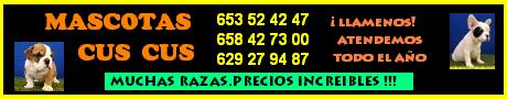 VENTA DE MASCOTAS