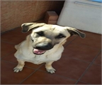Ads with Photo