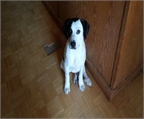 Ads with Photo