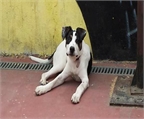 Ads with Photo
