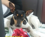Ads with Photo