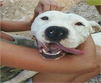 Ads with Photo