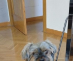 Ads with Photo