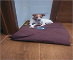 Ads with Photo