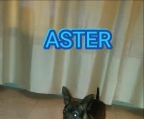 Ads with Photo