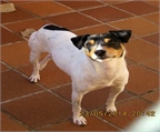Ads with Photo
