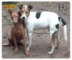 Ads with Photo