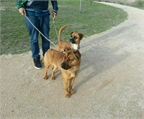 Ads with Photo