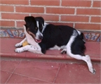 Ads with Photo