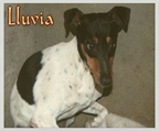Ads with Photo