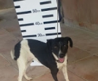 Ads with Photo