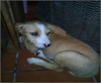 Ads with Photo