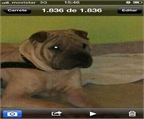 Ads with Photo