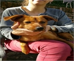 Ads with Photo