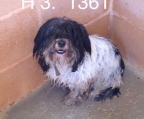 Ads with Photo