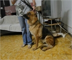 Ads with Photo