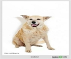 Ads with Photo