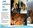 Ads with Photo