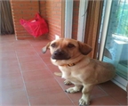 Ads with Photo