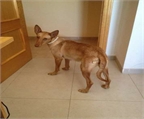 Ads with Photo