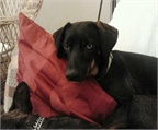 Ads with Photo