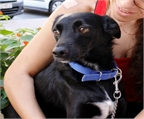 Ads with Photo
