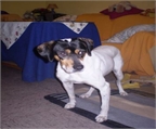 Ads with Photo