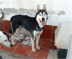 Ads with Photo