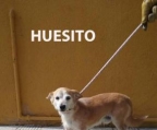 Ads with Photo