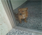 Ads with Photo