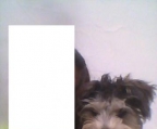 Ads with Photo