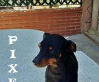 Ads with Photo