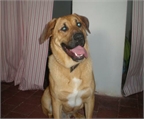 Ads with Photo