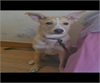 Ads with Photo