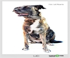 Ads with Photo