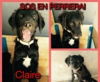 Ads with Photo