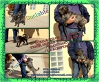 Ads with Photo
