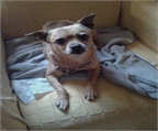 Ads with Photo
